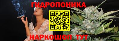 стаф Славгород