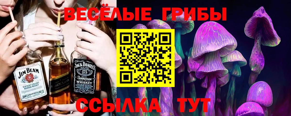 Галлюциногенные грибы MAGIC MUSHROOMS  Вход с VPN  Отрадный 