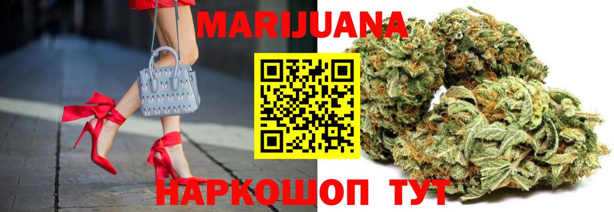 Бошки Шишки планчик Отрадный