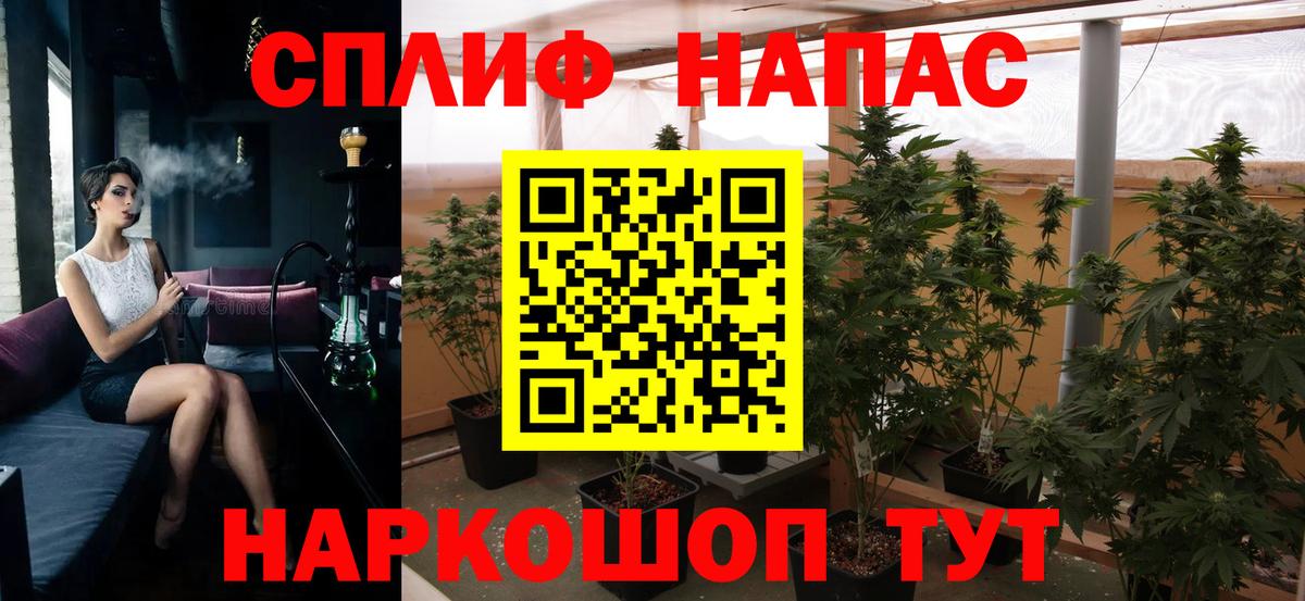 Конопля ГИДРОПОН  Вход с VPN  Отрадный  Марихуана THC 21% 
